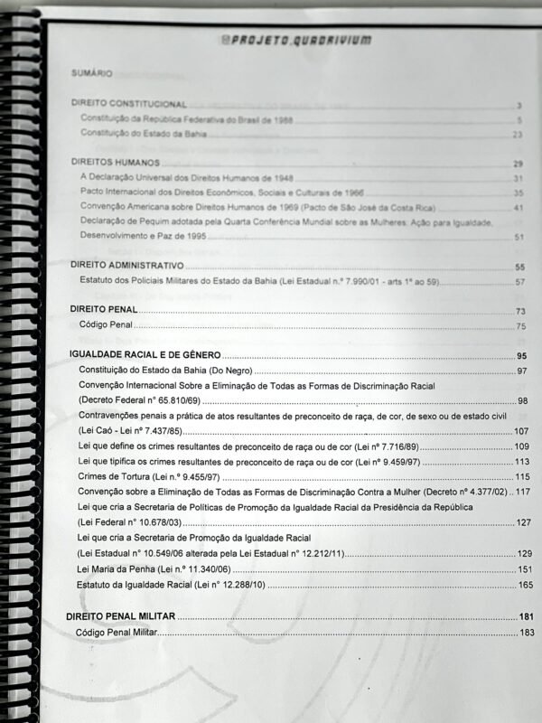 Vade Mecum – PMBA (Digital) - Image 3